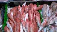 冰鲜鱼美食图片(10张)