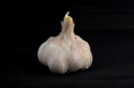 成熟的大蒜图片(11张)