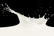 飞溅的牛奶图片(14张)
