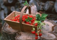 新鲜草莓图片(10张)