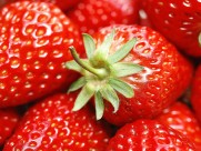 草莓图片(36张)