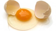 土鸡蛋图片(14张)