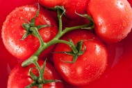 各种各样的西红柿图片(15张)