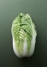 新鲜白菜图片(3张)