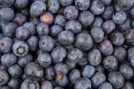 新鲜蓝莓图片(15张)
