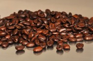 棕色咖啡豆图片(21张)