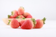 酸甜可口的草莓图片(10张)