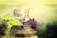 葡萄酒及庄园景色图片(13张)