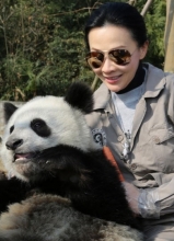 郭富城刘嘉玲探访大熊猫 亲密互动做慈善