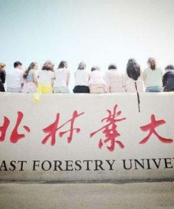 东北林业大学图片    哈尔滨的大学图片