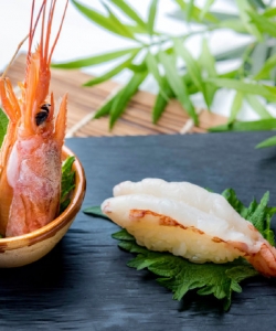 寿司刺身日料唯美美食图片