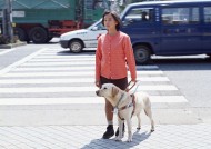 盲人和导盲犬日常生活图片(14张)