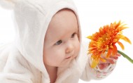 粉嫩嫩的婴儿宝宝图片(17张)