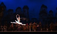 优美的芭蕾舞表演图片(11张)