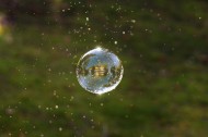 透明的泡泡素材图片(13