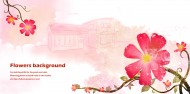 粉红色系手绘花朵明信片图片(8张)