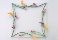 缠绕相框的花朵图片(14张)