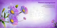 紫色系手绘花朵明信片图片(14张)