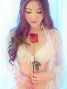 青丝薄纱的红玫瑰物语