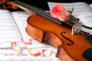 优雅的小提琴图片(22张)