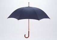 雨伞图片(5张)