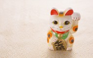 萌萌的陶瓷招财猫图片(13张)