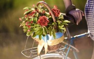 载满鲜花的自行车图片(13张)