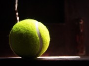弹性极好的网球图片(9张)