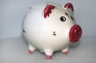 可爱的猪型存钱罐图片(11张)