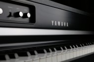 黑白的钢琴键图片(12张)