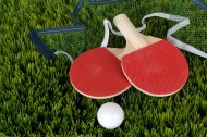 乒乓球和乒乓球拍图片(13张)