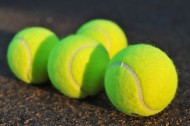 网球图片(14张)