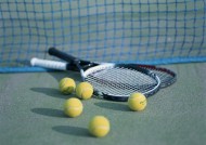 网球物品图片(21张)