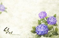 韩国浪漫紫色花朵背景图片(15张)