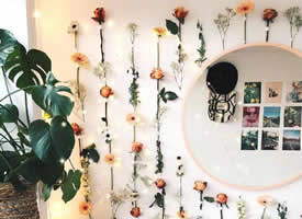 照片墙和绿植花束的绝妙组合搭配效果图