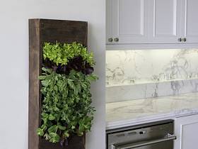 简约厨房背景墙植物设计方案