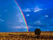 美丽的彩虹图片(11张)