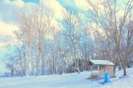 郊外的美丽雪景图片(10张)
