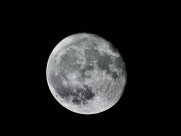 空中的月亮图片(14张)
