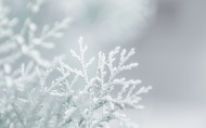 冬日唯美雪景图片(9张)
