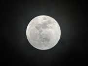 圆圆的月亮图片(14张)