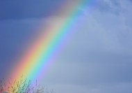 绚丽的彩虹图片(11张)