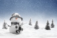 可爱的雪人风景图片(15张)