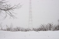冬天的雪景图片(10张)