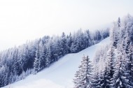 自然雪景风景图片(14张)