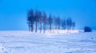 冰天雪地的自然风景图片(9张)