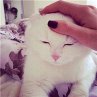 精选潮流时尚的qq欧美女生头像