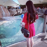 至真至纯qq气质女生头像图片大全