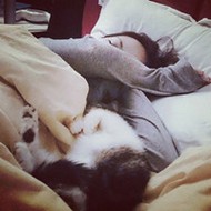 娇艳如花的qq美女头像图片大全