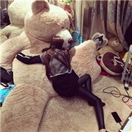 高颜值的漂亮qq女生头像图片大全